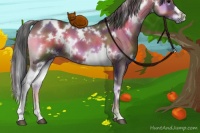 Horse Color:Nacre White Spotted Brown Onyx