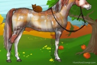 Horse Color:Plaid  White Spotted Bay Onyx 