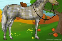 Horse Color:Plaid  White Spotted Silver Brown Dun Rabicano 