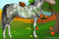 Horse Color:Plaid  White Spotted Brown Dun 