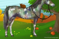 Horse Color:Nacre White Spotted Bay Onyx