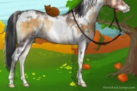 Horse Color:Plaid  White Spotted Brown Onyx Rabicano 
