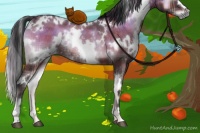 Horse Color:Plaid  White Spotted Brown Onyx Rabicano 
