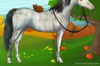 Horse Color:Plaid  White Spotted Sable Champagne Dun 