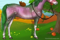 Horse Color:Watercolor White Spotted Buckskin Onyx