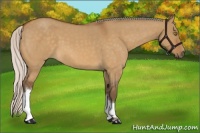 Horse Color:Silver Buckskin Roan Dun
