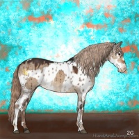 Horse Color:Brown Dun Sabino Brindle  and White Spotted Liver Red Dun Appaloosa Brindle 