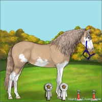 Horse Color:Red Dun Splash Frame 