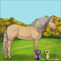 Horse Color:Palomino Dun 