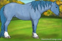 Horse Color:Watercolor Bay Roan 