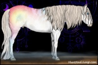 Horse Color:Chocolate Palomino Roan Pearl Onyx Splash Blanket Rabicano 