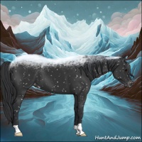 Horse Color:Black Snowflake Varnish
