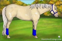 Horse Color:White Spotted Silver Classic Champagne Dun Frame