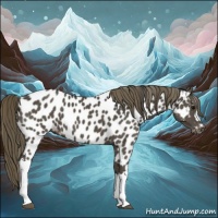 Horse Color:Smoky Black Near Leopard 