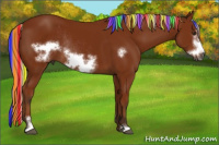 Horse Color:Gray Painted Silver Bay Sabino Frame Rabicano