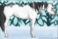 Horse Color:White Spotted Brown Splash Frame