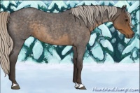 Horse Color:Silver Smoky Blue Roan 