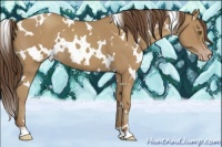 Horse Color:White Spotted Classic Cream Champagne 