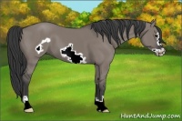 Horse Color:Grullo Frame 