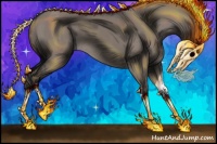 Horse Color:Grullo Rabicano 