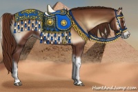 Horse Color:Red Onyx Rabicano 