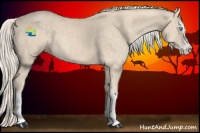 Horse Color:Cremello Sabino