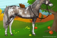 Horse Color:White Spotted Silver Blue Onyx