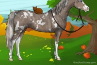 Horse Color:White Spotted Silver Grullo Splash