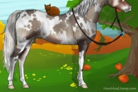 Horse Color:White Spotted Silver Blue Onyx 
