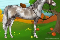 Horse Color:White Spotted Silver Blue Onyx 