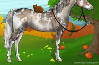 Horse Color:White Spotted Silver Grullo Onyx 
