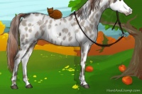 Horse Color:White Spotted Liver Red Dun Ice Appaloosa
