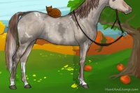 Horse Color:White Spotted Liver Red Dun Ice