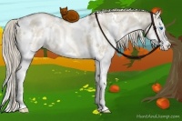 Horse Color:White Spotted Chocolate Palomino Pearl Dun Splash 