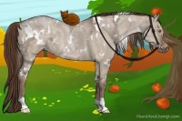 Horse Color:White Spotted Liver Red Dun Ice