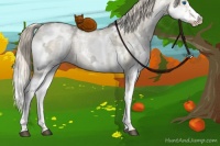 Horse Color:White Spotted Chocolate Palomino Ice Pearl Dun Splash