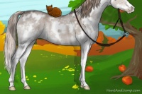 Horse Color:White Spotted Liver Red Dun Ice Splash 