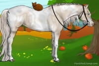 Horse Color:Chocolate Palomino Pearl Dun Sabino Tobiano Frame