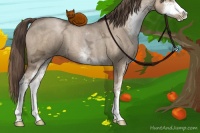 Horse Color:Grullo Ice Pearl Sabino 