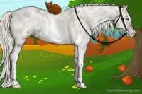 Horse Color:Chocolate Palomino Ice Pearl Dun Sabino Splash