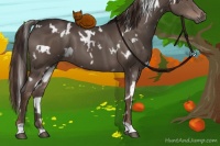 Horse Color:White Spotted Liver Chestnut 