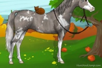 Horse Color:White Spotted Silver Grullo Ice Splash