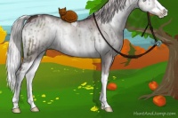 Horse Color:Chocolate Silver Grullo Chinchilla Onyx Sabino Splash