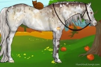 Horse Color:White Spotted Chocolate Silver Buckskin Chinchilla Onyx Sabino 