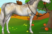 Horse Color:White Spotted Chocolate Silver Smoky Grullo Chinchilla Onyx