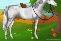 Horse Color:White Spotted Chocolate Silver Brown Chinchilla Ice Dun Sabino