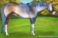 Horse Color:Painted Liver Red Onyx