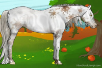 Horse Color:Gray Liver Chestnut Pearl Mushroom Sabino Rabicano