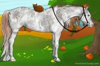 Horse Color:White Spotted Buckskin Ice Pearl Dun Sabino Splash Rabicano