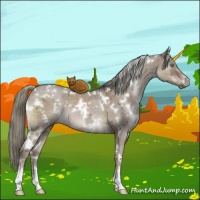 Horse Color:White Spotted Liver Red Dun Ice Mushroom 